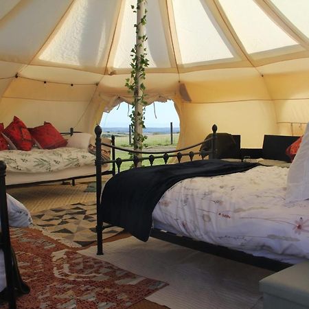 Tal-Y-Fan Farm 6M Stargazer Tent Bridgend  Exterior foto